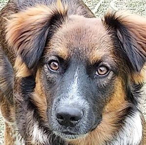 Meet your Posher, Darlene